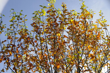 Herbstliche Landschaft!