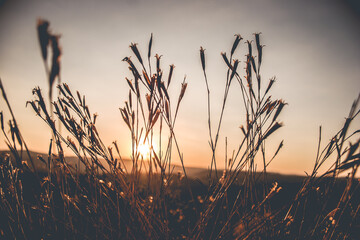 Obraz premium por do sol