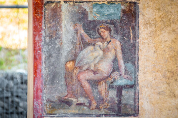 Leda and the Swan: the fresco re-emerges in a room along Via del Vesuvio, during re-profiling...