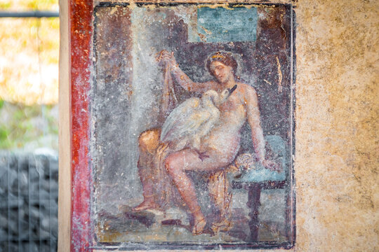 Leda and the Swan: the fresco re-emerges in a room along Via del Vesuvio, during re-profiling interventions on the Regio V excavation fronts, Pompeii
