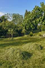 Two piles of freshly cut grass form two natural graves in the middle of a green landscape. End of season garden care.