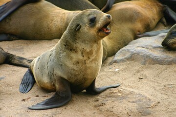 Fototapeta premium Swakopmund