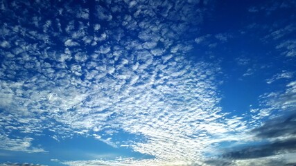 Fototapeta na wymiar Blue abstract background - Cirrus clouds