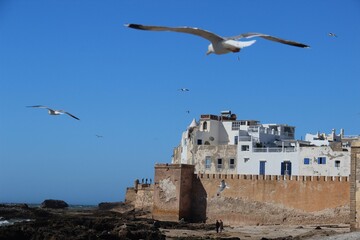 Essaouir