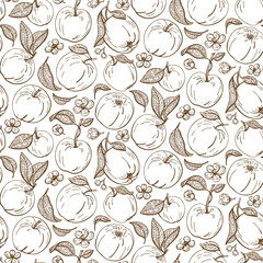 Seamless apple fruit, leaves, flowers with seed and leaves pattern hand drawn sketch vector illustration. Background for fabric print, textiles, wrapping paper, food packaging. 