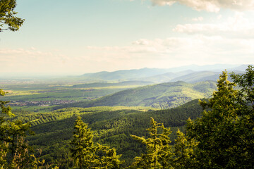 Obraz premium Beautiful forested mountain ranges of the Vosges Mountains in the East of France.