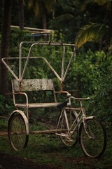 Fototapeta na wymiar vintage bicycle in the garden