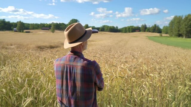 A farmer proudly looking at the grain harvest while standing among his own rye field