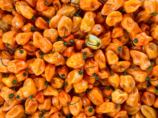 Habaneros