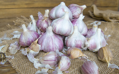 A pile of fresh garlic bulbs and cloves on the wooden background