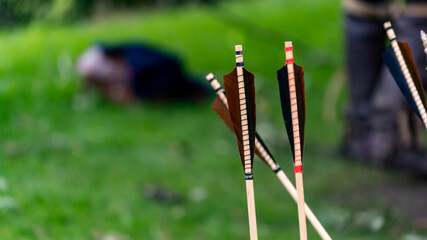 Arrows standing up on a grassy bank