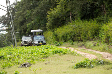 Obraz na płótnie Canvas KABINI, INDIA-OCTOBER 27: Tourist enjoying game drive on safari Jeeps at Kabini Forest Reserve, Karnataka , India on 27 October, 2019