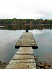 pier on lake