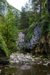 Ramet gorges from Transylvania, Trascau mountains, Alba county, Romania