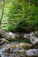 Ramet gorges from Transylvania, Trascau mountains, Alba county, Romania