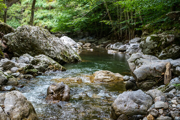 Ramet gorges from Transylvania, Trascau mountains, Alba county, Romania