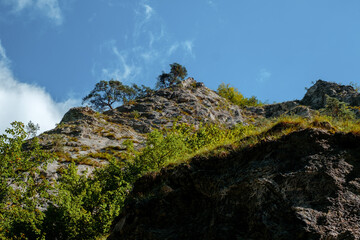 Ramet gorges from Transylvania, Trascau mountains, Alba county, Romania