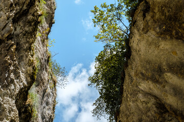 Ramet gorges from Transylvania, Trascau mountains, Alba county, Romania