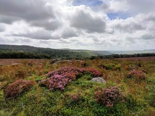 Fototapeta premium Peak district