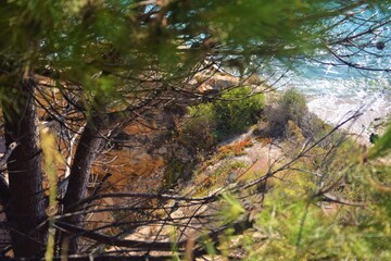 Vegetation, rocks along the natural path that leads to a cove, bathed by the waters of the Mediterranean Sea, perfect for relaxation