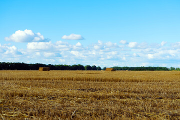 Obraz premium Hay bales on fields on blue sky background