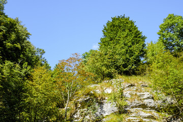 Fototapeta premium Ramet gorges from Transylvania, Trascau mountains, Alba county, Romania