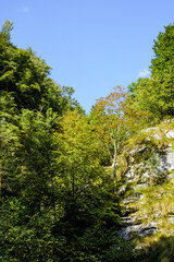 Obraz premium Ramet gorges from Transylvania, Trascau mountains, Alba county, Romania