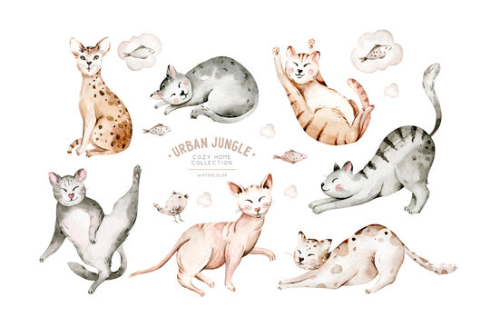 Cute watercolor cartoon cats set illustrations isolated on white. Perfect for stikers, wallpaper, poster decoration.
