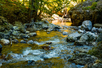 Ramet gorges from Transylvania, Trascau mountains, Alba county, Romania