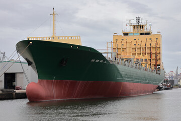 Grünes Containerschiff im Hafen