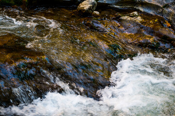 Ramet gorges from Transylvania, Trascau mountains, Alba county, Romania