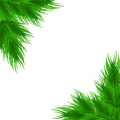 Spruce branch on white background. Green fir. Realistic Christmas tree. Vector illustration for Xmas cards, banners, flyers, New year party posters.