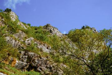 Ramet gorges from Transylvania, Trascau mountains, Alba county, Romania