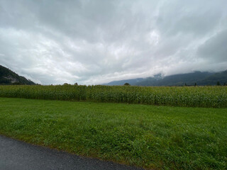 green field and clouds