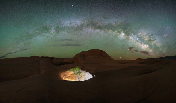 Cottonwood tree in a lit hole under the Milky Way Galaxy - Powered by Adobe