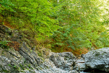 Ramet gorges from Transylvania, Trascau mountains, Alba county, Romania