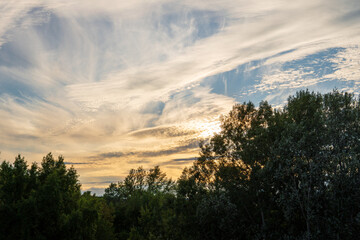 Striking yellow sky with the sunset peaking through cirrus clouds and trees in Vienna Austria
