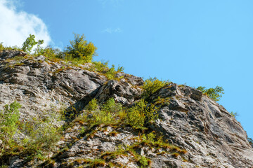 Ramet gorges from Transylvania, Trascau mountains, Alba county, Romania