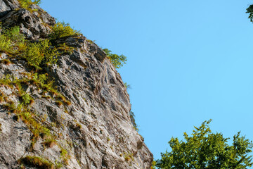 Ramet gorges from Transylvania, Trascau mountains, Alba county, Romania