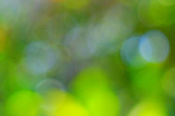 green bokeh abstract background