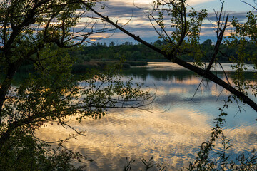 Orange striking sunset reflecting above the lake in a forest with green trees branches in the foreground, bright clouds and blue sky