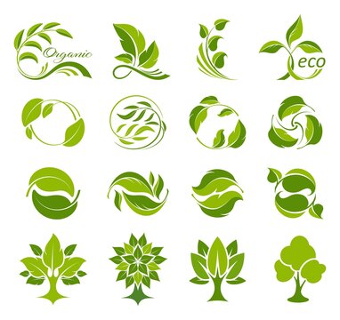 Leaves and trees icons set. Collection of logos for fresh and ecological products. Bio, organic and natural symbols. Concept environmental conservation, nature protection, ecology. Isolation. Vector 