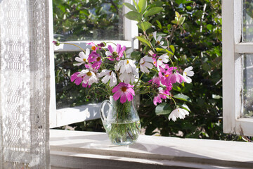 Fototapeta na wymiar Bouquet of cosmos in glass vase on windowsill