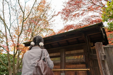 JK girl watching up maples in Seattle Japanese Garden