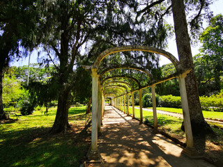 Rio botanical gardens