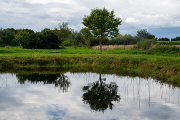 Fototapeta na wymiar Photos of a small pond between fields in northern Germany with a relatively clear reflection on a cloudy day