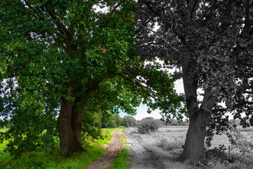 Landscape shot from the modern to the  past with color and black and white
