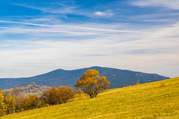 NP Mala Fatra near Zilina, Slovakia