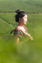 Beautiful asian woman Harvesting tea leaves in the morning, tea leaves in the field of tea,