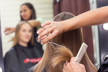 Naklejka premium Womens hairdresser, beauty salon. Professional stylist cuts female hair in salon